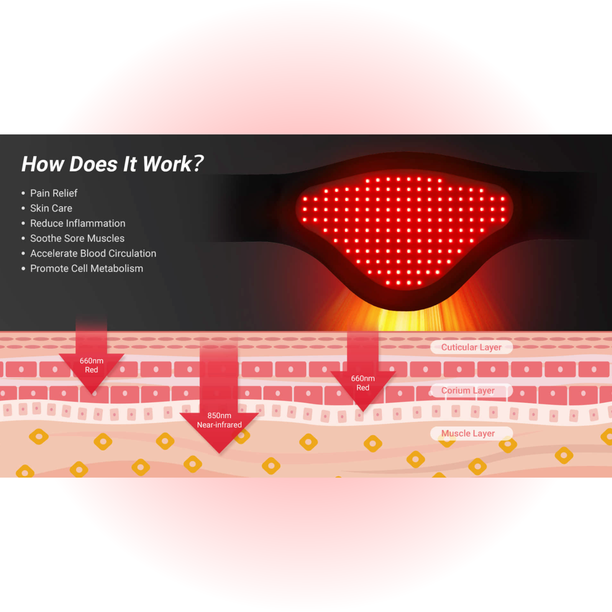 MULTIFUNCTIONAL RED LIGHT THERAPY STOMACH BELT