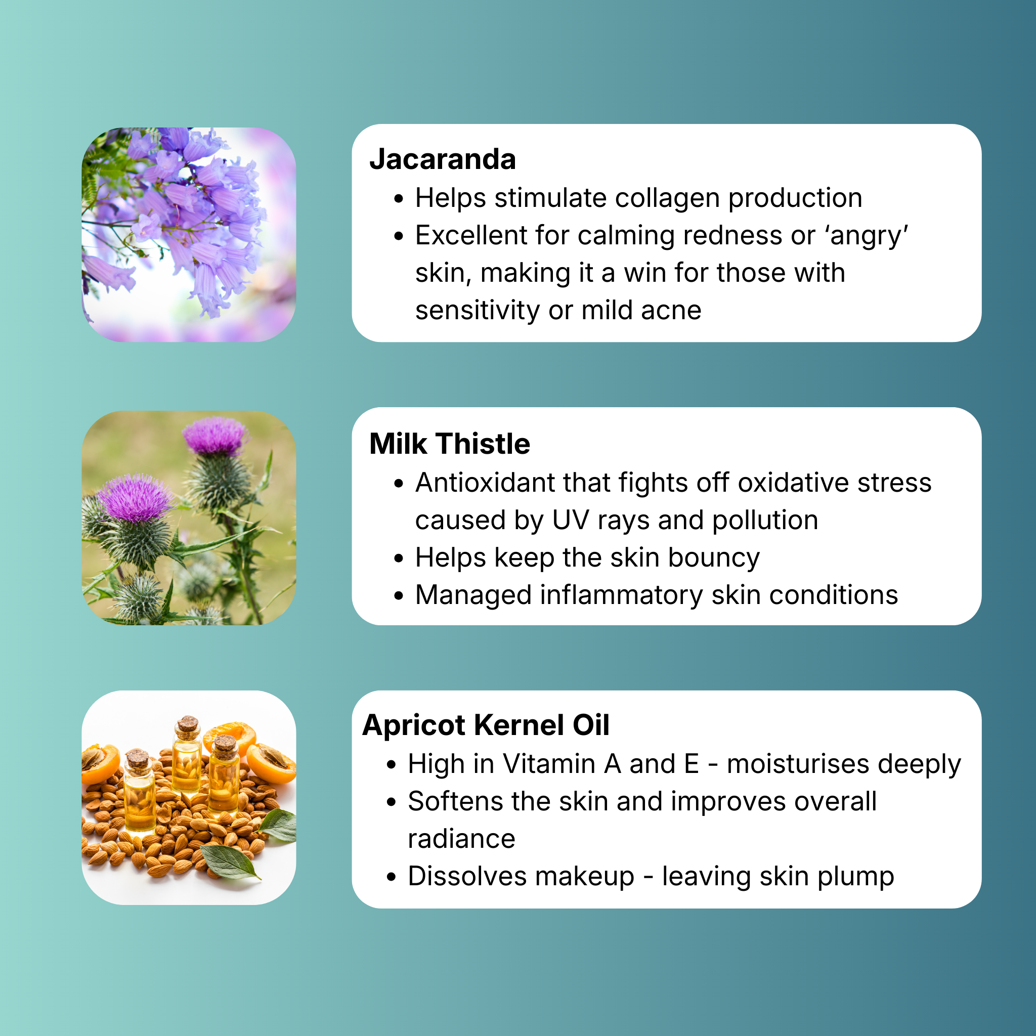 JACARANDA CALM - Cream Cleanser