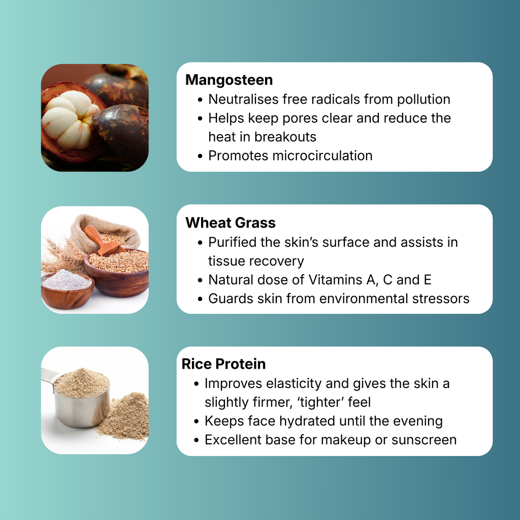 MANGOSTEEN MORNING - Nourishing Moisturiser